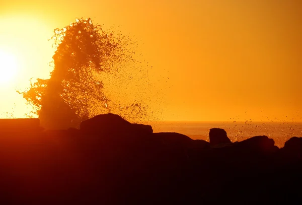 Gold Surf — Stock Photo, Image