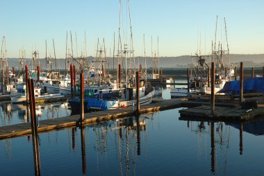 Yaquina Marina