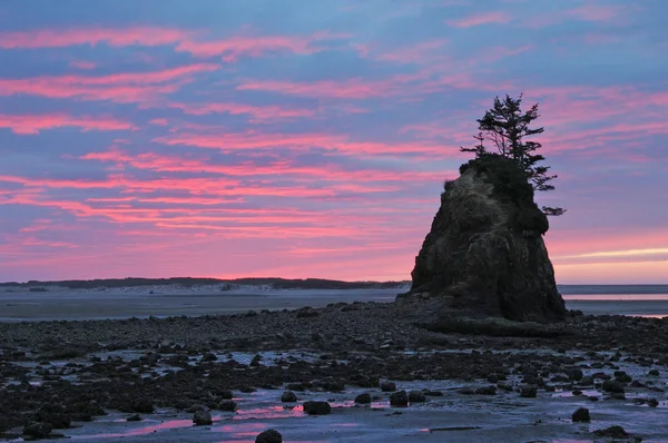 Bahía de Siletz — Foto de Stock