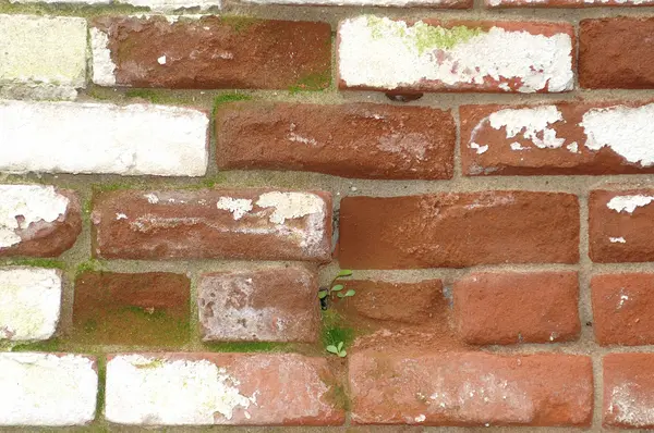 Great Brick — Stock Photo, Image