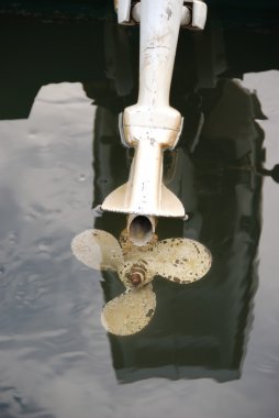 şehir merkezinde Floransa