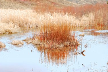producir productos frescos de mercado de frutos secos