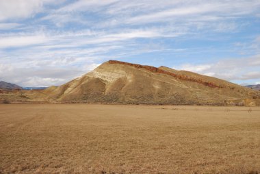producir productos frescos de mercado de frutos secos