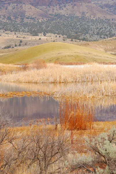 Painted Hills — Zdjęcie stockowe