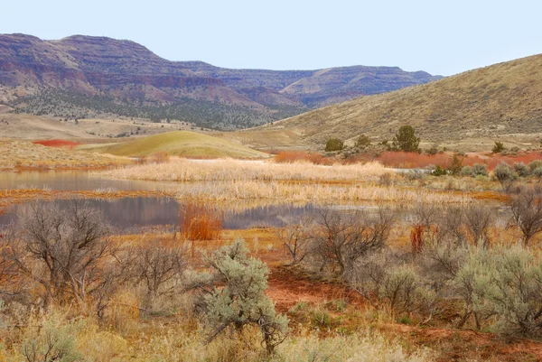 Painted Hills — Stock Photo, Image