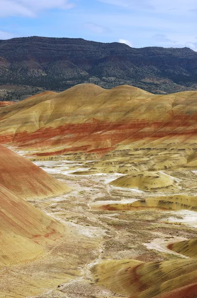 John Day Fossil Beds — Stock Photo, Image