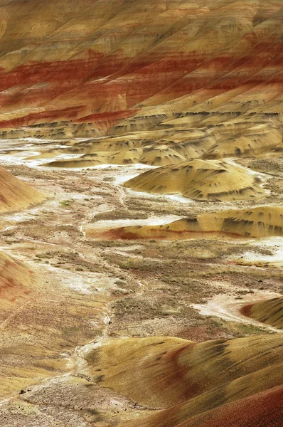 John gün fosil yataklar — Stok fotoğraf