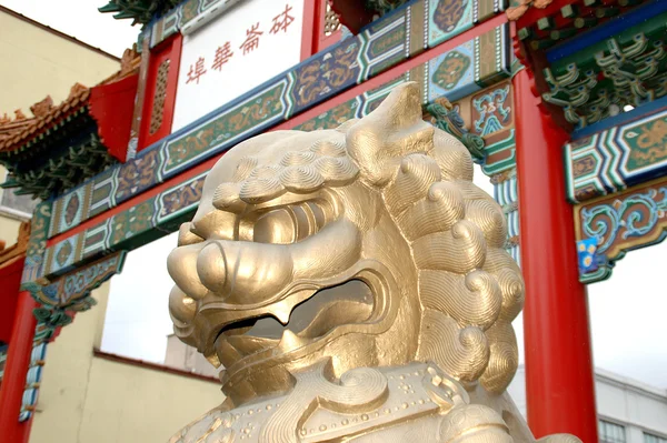 Yang lew — Zdjęcie stockowe