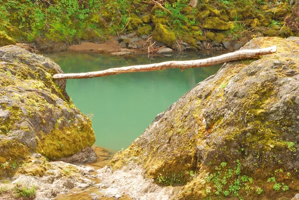 Log Gap — Stock Photo, Image