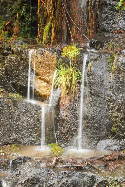 Kleines Wasser — Stockfoto