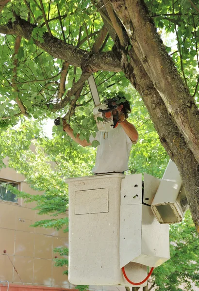 Casa Mover — Foto de Stock