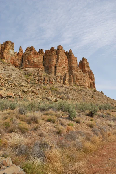 Palisade Cliffs — Stock Photo, Image