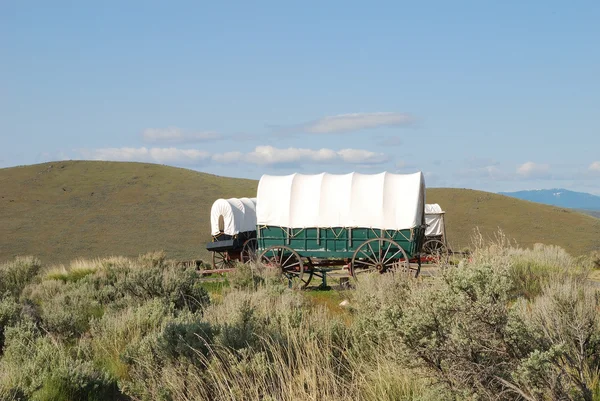 Waggons — Stockfoto