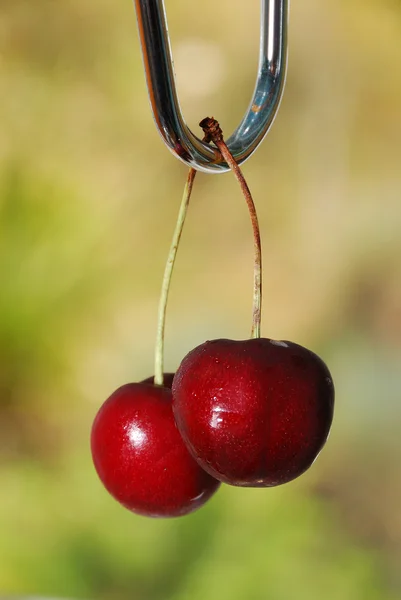 Cherry stapel — Stockfoto