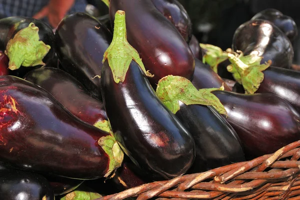 Eggplant Royalty Free Stock Images