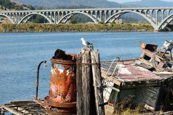 Gull Bridge — Stockfoto