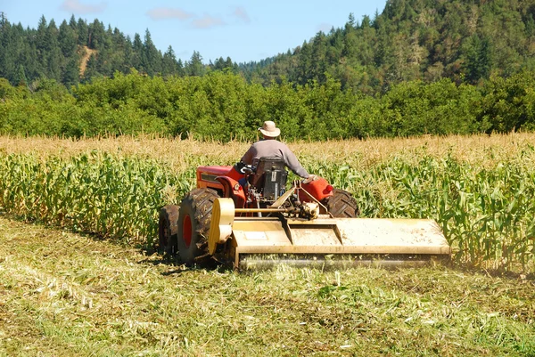 Flail Mower — Stock Photo, Image