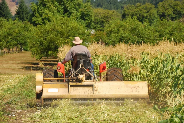 殻竿の芝刈り機 — ストック写真