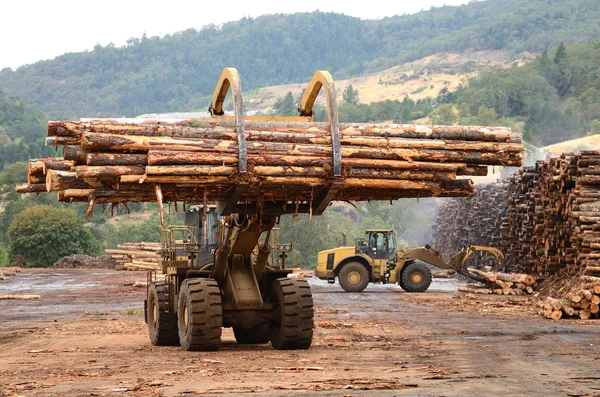 Καταγραφής αυλή — Φωτογραφία Αρχείου