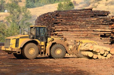 hareket günlükleri