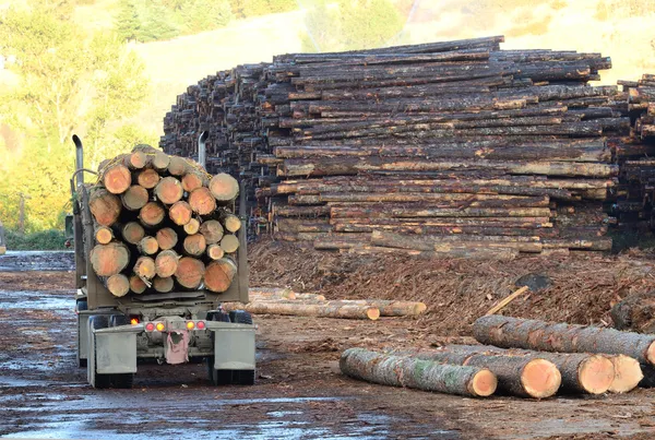 Log truck — Stockfoto