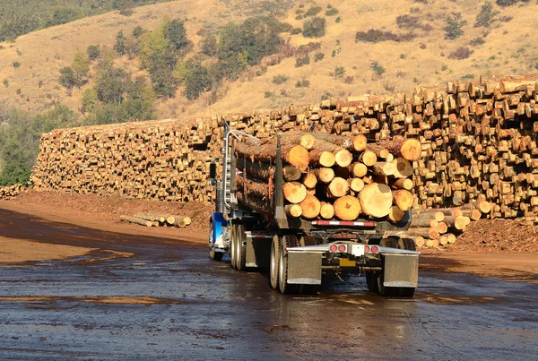 Log truck — Stockfoto