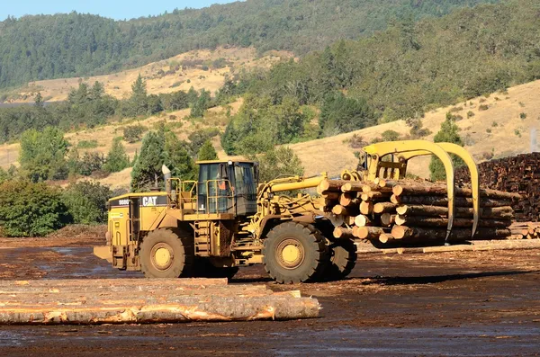 Rueda grande — Foto de Stock