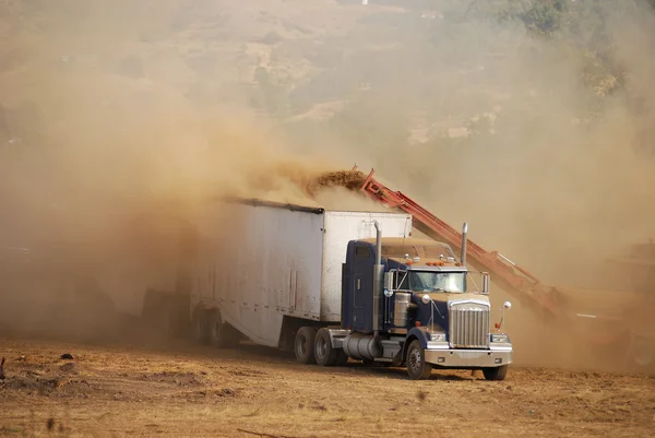 Log Chipper — Stock Photo, Image