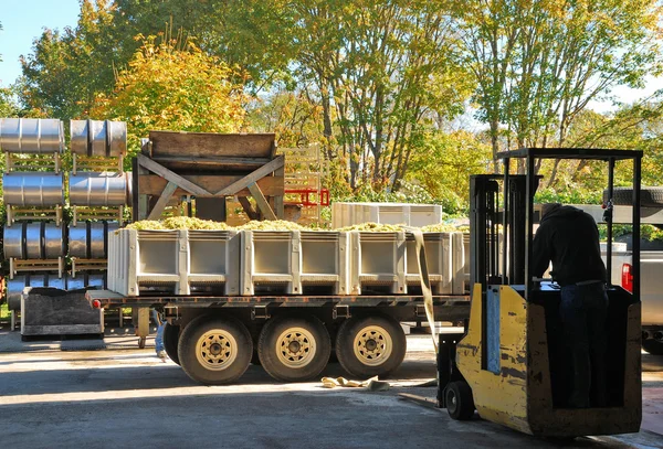 Grape Trailer — Stock Photo, Image