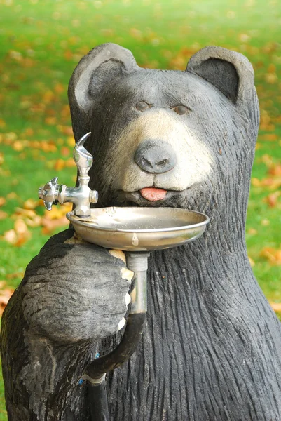 Bear Drink — Stock Photo, Image