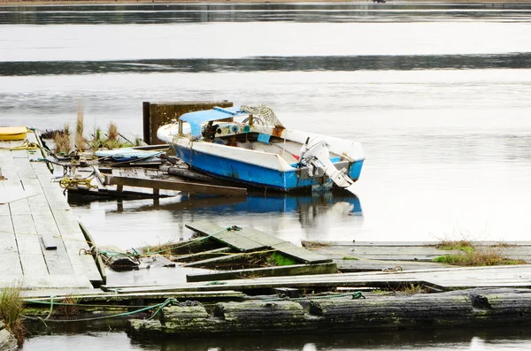 Blå fiske — Stockfoto