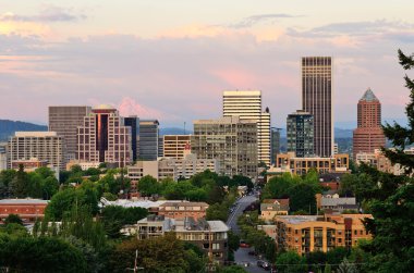 Portland Vista