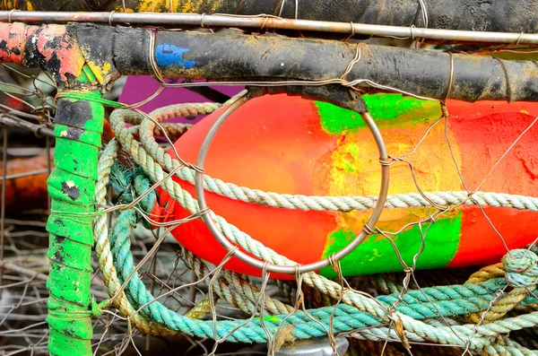 Anéis de caranguejo — Fotografia de Stock