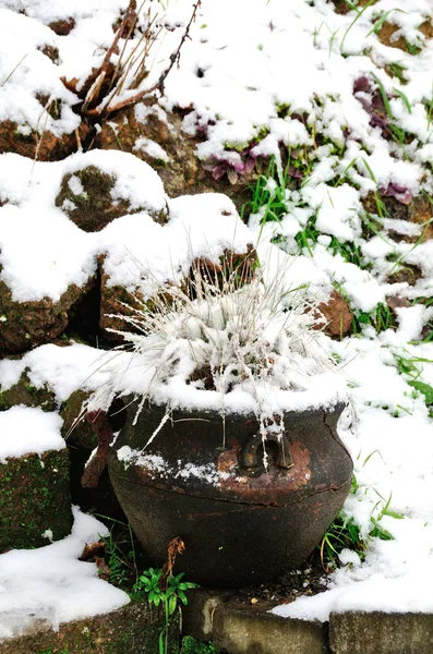 粘土の鍋を壊した — ストック写真