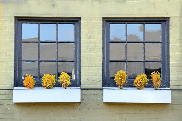 Fenster und Wand — Stockfoto