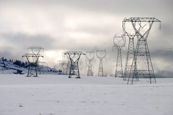 Vintern makt — Stockfoto