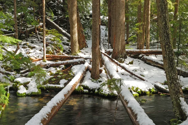 Klares Wasser — Stockfoto