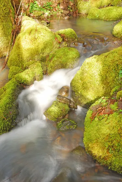 Χειμώνα creek — Φωτογραφία Αρχείου