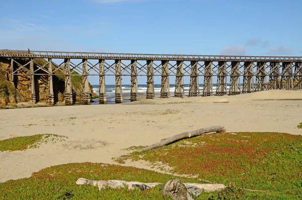 Trestle de Pudding Creek — Photo