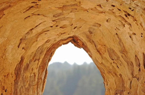 Door middel van hout — Stockfoto