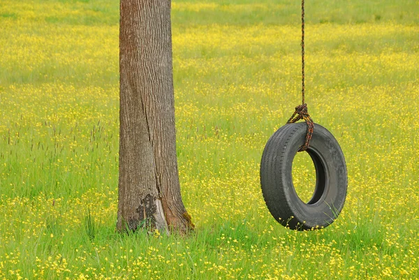 Balanço de pneu em amarelo — Fotografia de Stock