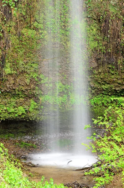 Small Waterfall — Stock Photo, Image