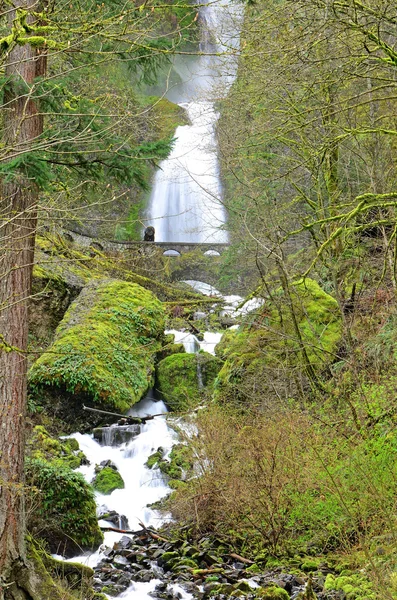 Wahkeena fällt — Stockfoto