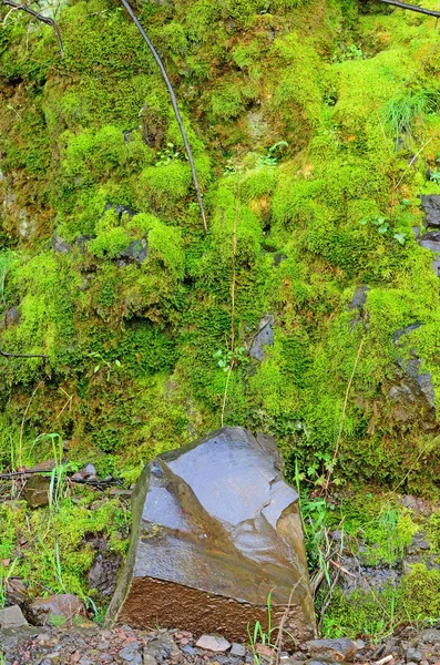 Felsen und Moos — Stockfoto