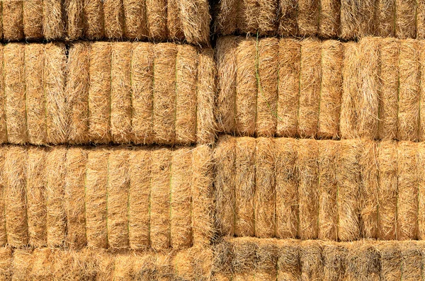 Hay Bales — Stock Photo, Image