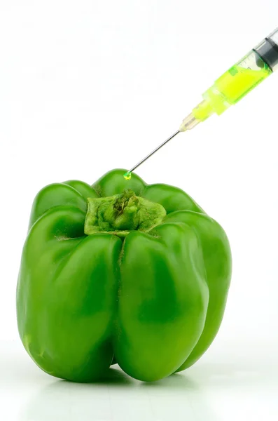 Pepper Genitics — Stock Photo, Image