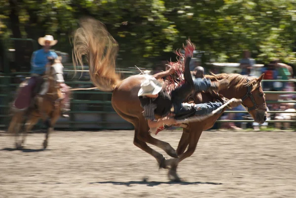 Bronc езды — стоковое фото