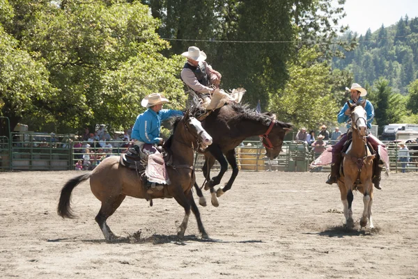 Bronc jazdy — Zdjęcie stockowe