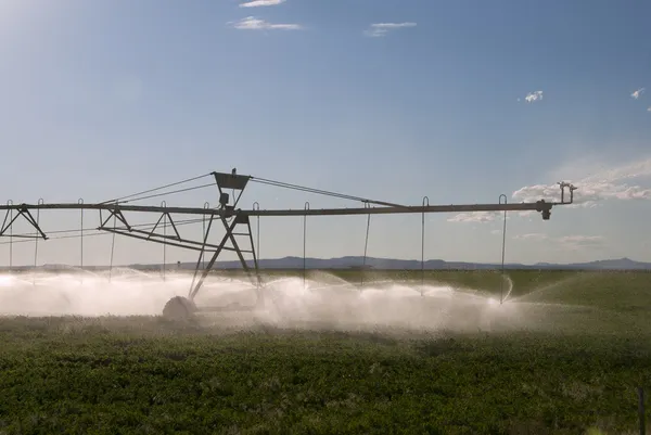 Central Pivot — Stock Photo, Image