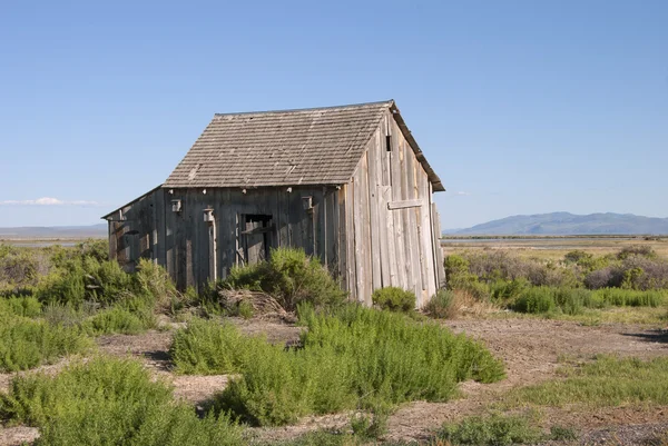 Summer Lake Barn — Stock Photo, Image